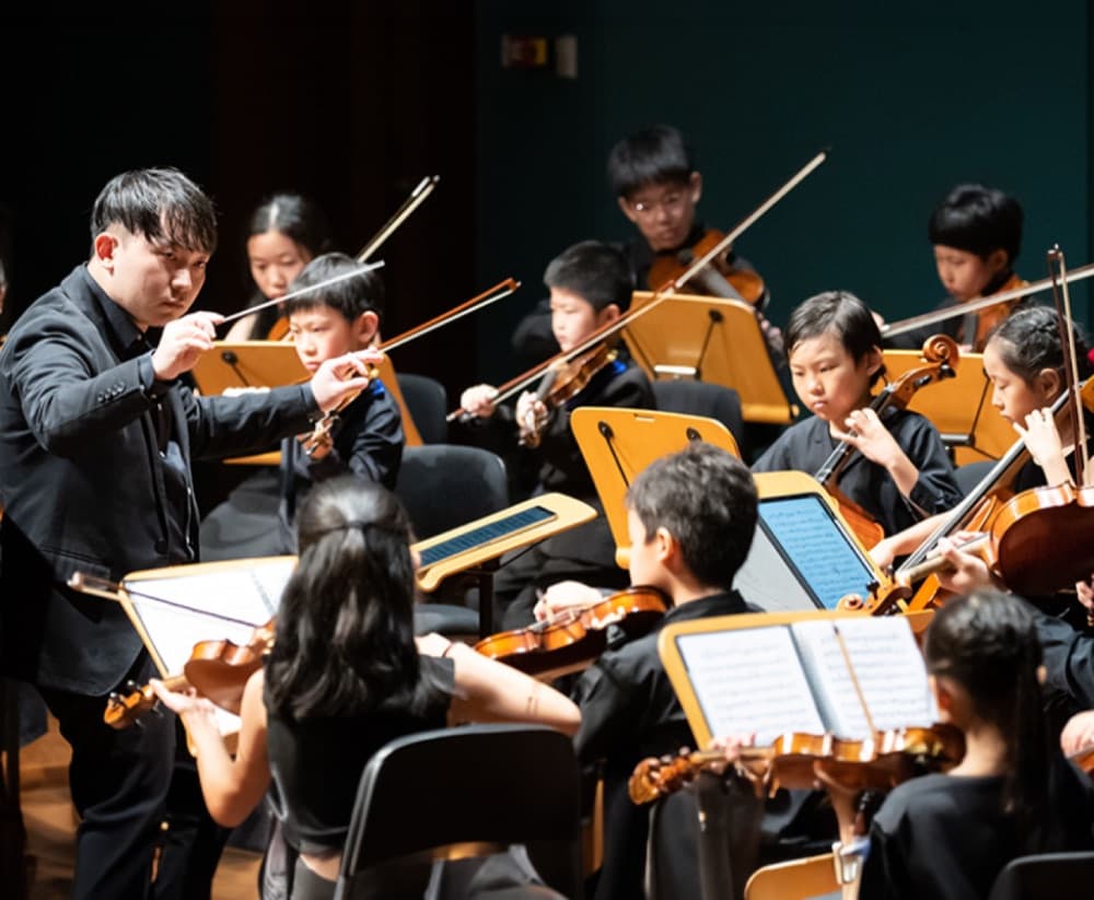 Picture stimulus: a student orchestra performing on stage, led by a conductor